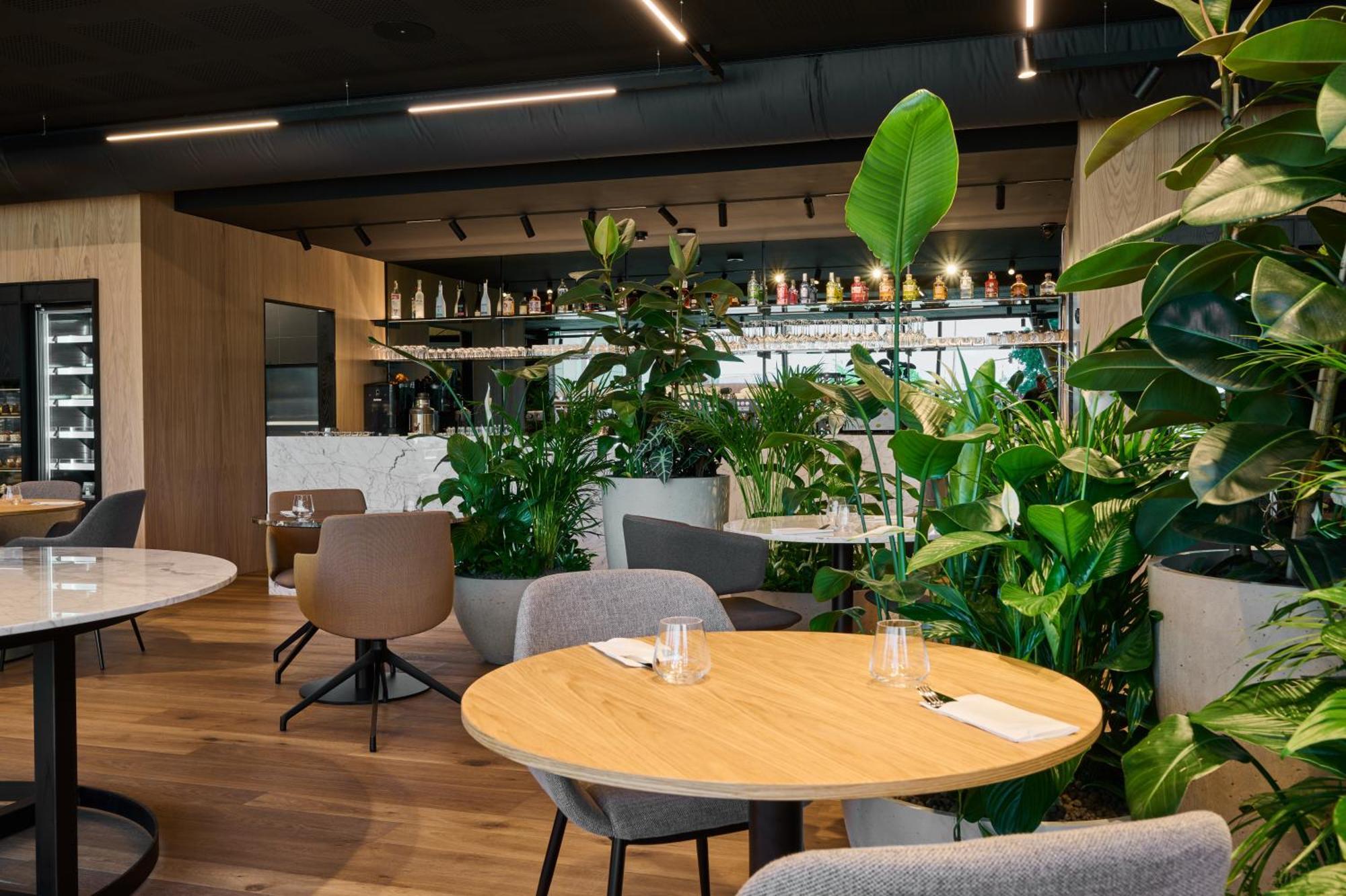 אולומוץ Aba Apartments מראה חיצוני תמונה