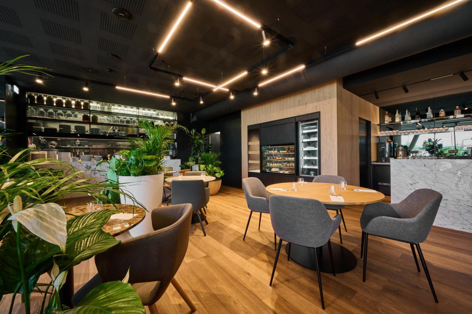 אולומוץ Aba Apartments מראה חיצוני תמונה