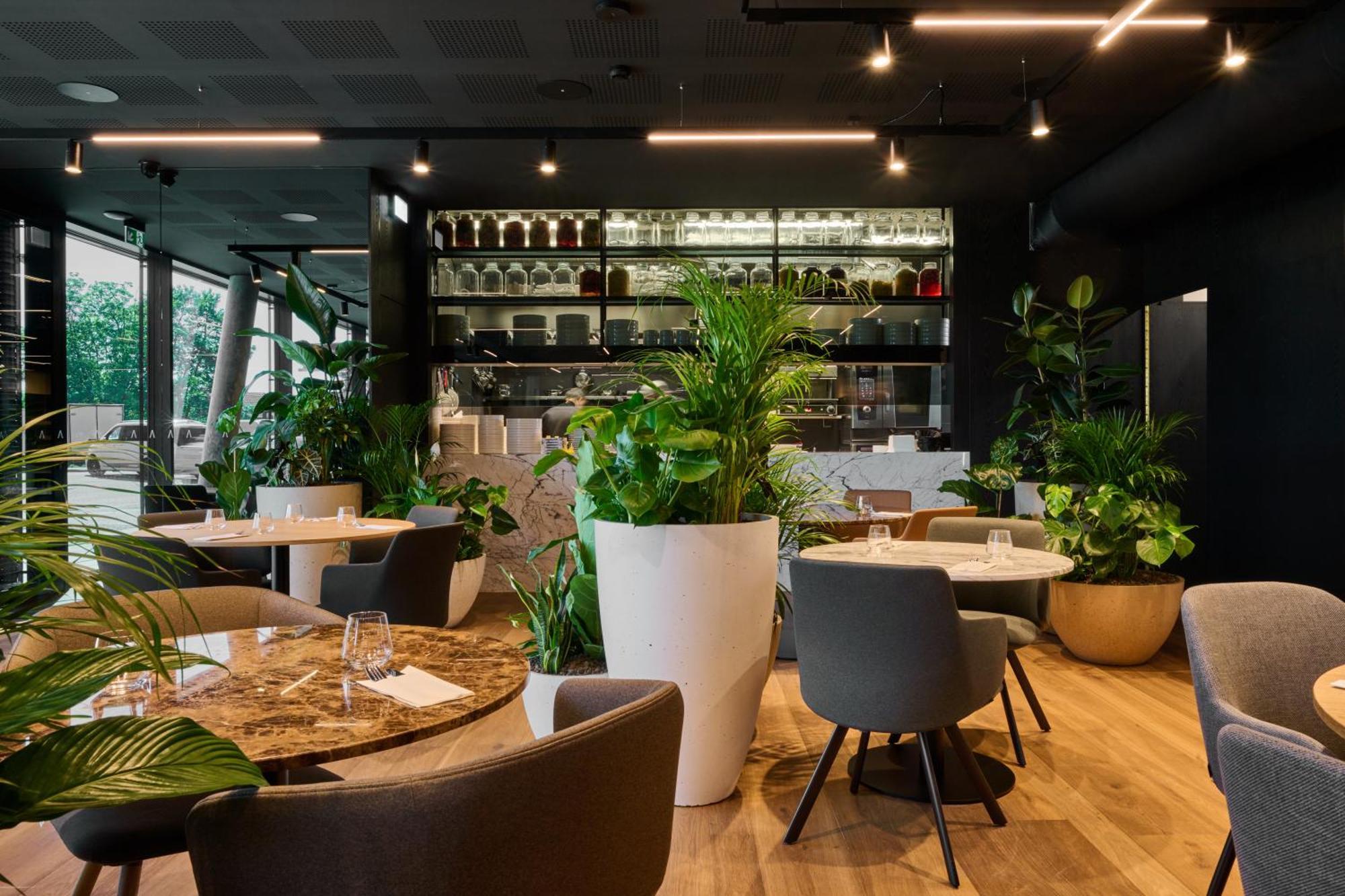 אולומוץ Aba Apartments מראה חיצוני תמונה